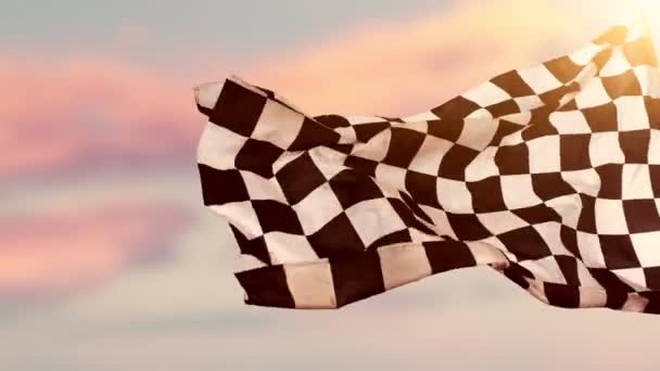 Bandera Carrera Cuadros Ondeando Continuamente Viento 1000Fps Bandera Carreras Con — Vídeos de Stock