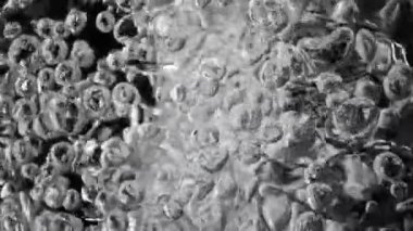 Çok Yavaş Kaynayan Su Hareketi. Ekstrem Makro Vuruş, Soyut Doku. Yüksek Hız Sinema Kamerası, 1000 fp..