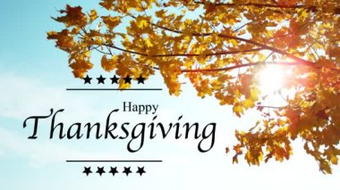 23 Kasım Şükran Günü 'nü kutluyoruz. Düşen Sonbahar Yaprakları 'nın Süper Yavaş Hareketi Şükran Günü metniyle birlikte. Yüksek Hız Sinema Kamerası, 1000fps.