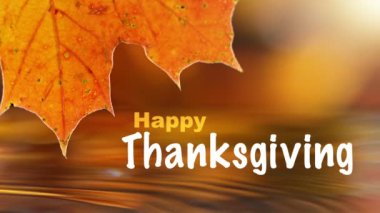 23 Kasım Şükran Günü 'nü kutluyoruz. Düşen Sonbahar Yaprakları 'nın Süper Yavaş Hareketi Şükran Günü metniyle birlikte. Yüksek Hız Sinema Kamerası, 1000fps.