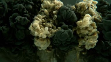 Suda Siyah ve Altın Boyanın Süper Yavaş Hareketi. Kara Arkaplan 'da izole edilmiş. Yüksek Hız Sinema Kamerası, 1000fps.