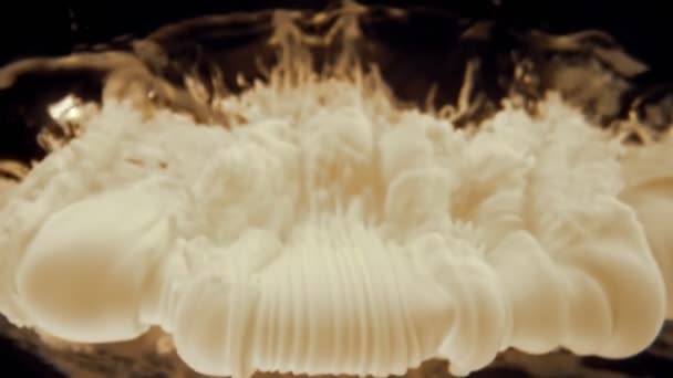 Super Slow Motion Menuangkan Susu Dalam Minuman Kopi Difilmkan High — Stok Video