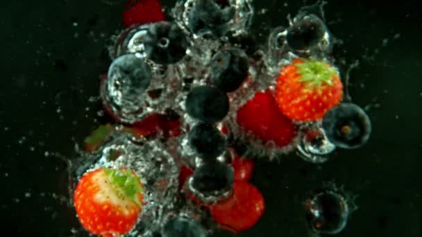 Super Slow Motion Falling Berries Water Czarnym Tle Nagrywane Szybkim — Wideo stockowe