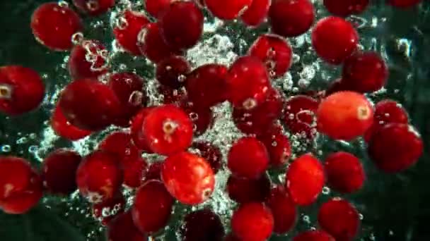 Super Zeitlupe Fallender Preiselbeeren Ins Wasser Auf Schwarzem Hintergrund Gefilmt — Stockvideo