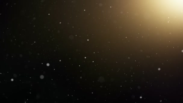 Σούπερ Αργή Κίνηση Νιφάδες Χιονιού Πέφτουν Μαύρο Φόντο Πηγή Φωτός — Αρχείο Βίντεο