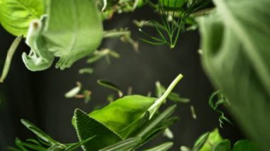 Süper Yavaş Uçan Taze Bitki Karışımı. High Speed Cinema Camera 'da çekildi, 1000 fps. Kamera Yüksek Hız Cine Bot 'una yerleştirildi, Döndürülüyor.