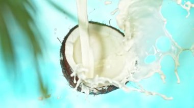 Sütlü hindistan cevizinin süper yavaş hareketi. Önplanda Blur Palm Leaves. High Speed Cinema Camera 'da çekildi, 1000 fps. Mavi Arkaplanda İzole Edildi.