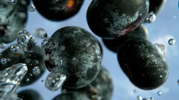 Macro Shot Blueberries Water Vegan Vegetarian Concept Detail Texture Blueberry Royalty Free Stock Images