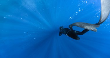 Freediver, Güneş Işıklarıyla Derin Deniz 'de Yüzüyor. Genç adam dalgıcı Deniz Yaşamı Arıyor.