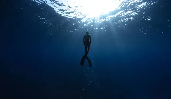 太陽光線で深海で泳ぐフリーダイバー ダイバー ストック写真