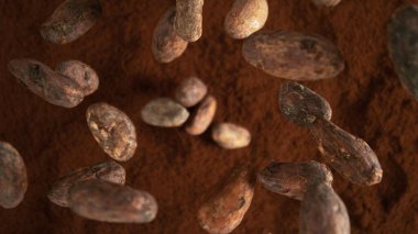 Uçan kakao çekirdekleri grubunun hareketsiz hareketi. Kakao tozunun içine düşüyorum.