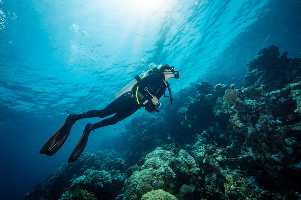 Девушка ныряльщица с аквалангом на тропическом рифе с голубым фоном и рифовой рыбой. Красное море, Египет.