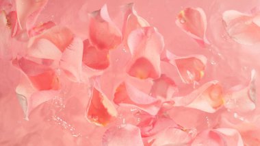 Su yüzeyine yerleştirilmiş pembe gül yaprakları. Güzellik ve Spa Arkaplanı.