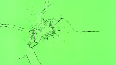 Kırık Camların Süper Yavaş Hareketi Yeşil Arkaplanda İzole Edildi. Camları kurşundan kır. Yüksek Hız Sinema Kamerası, 1000 fp..