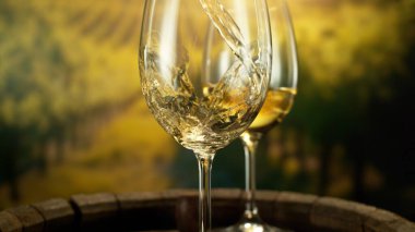 Detail of White Wine Pouring on Vineyard. Wine Cellar on Background. clipart