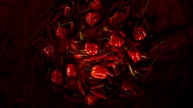 Kuru biberli Süper Yavaş Uçan ve Dönen Biber Hareketi. Kara Arkaplan. Yüksek Hız Sinema Kamerası, 1000 Fps, Yüksek Hız Cine Robotuna Yerleştirilmiş.