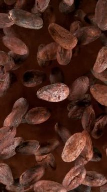 Düşen Kakao Fasulyelerinin Süper Yavaş Hareketi. Kakao tozuna düşüyorum. Yüksek Hız Sinema Kamerası, 1000fps.