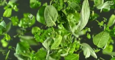 Uçan Taze Bitki Yapraklarının Süper Yavaş Hareketi. High Speed Cinema Camera 'da çekildi, 1000 fps. Kamera Yüksek Hız Cine Bot 'a yerleştirildi, dönüyor. Hız Rampası Efekti.