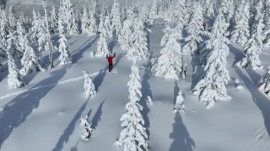 Güzel Kış Ladin Ormanı 'nda Genç Adam Kayak Yapıyor. Kayak Turu. Kış Aktivitesinin Hava Görüntüsü. Avrupa Doğası.