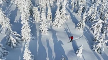 Güzel Kış Ladin Ormanı 'nda Genç Adam Kayak Yapıyor. Kayak Turu. Kış Aktivitesinin Hava Görüntüsü. Avrupa Doğası.