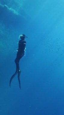 Derin Okyanusu Keşfeden Serbest Dalgıcın Sualtı Yavaş Hareketi. Serbest Dalış Eğlence Sporu. Dikey Görünüm Oranı.
