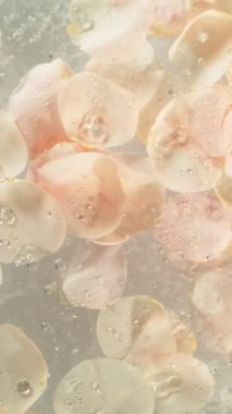 Sudaki Bej Gül Yapraklarının Süper Yavaş Hareketi. High Speed Cinema Camera 'da çekildi, 1000 fps. Dikey Görünüm Oranı.