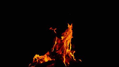 Kamp Ateşinin Süper Yavaş Hareketi Siyah Arkaplan 'da izole edildi. Yüksek Hız Sinema Kamerası, 1000 fp..