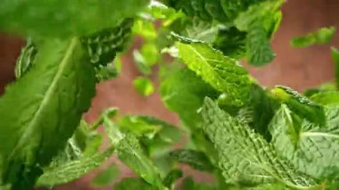 Kahverengi arka planda izole edilmiş Süper Yavaş Uçan Nane Yaprakları. Yüksek Hız Sinema Kamerası, 1000 fp..