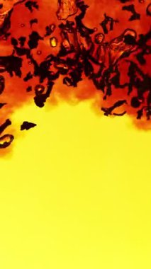 Kasırga şeklinde suya siyah çay dökmek çok yavaş bir hareket. Yüksek hızlı sinema kamerasıyla çekildi, 1000fps. Dikey görünüm oranı.