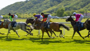 Bir grup jokey yarışı kazanmak için yarışıyor. At yarışı. Jokeyli atlar bitiş çizgisine doğru koşuyor. Hareket bulanıklığı etkisi.