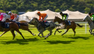 Bir grup jokey yarışı kazanmak için yarışıyor. At yarışı. Jokeyli atlar bitiş çizgisine doğru koşuyor. Hareket bulanıklığı etkisi.