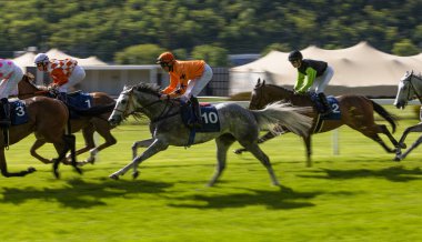 Bir grup jokey yarışı kazanmak için yarışıyor. At yarışı. Jokeyli atlar bitiş çizgisine doğru koşuyor. Hareket bulanıklığı etkisi.