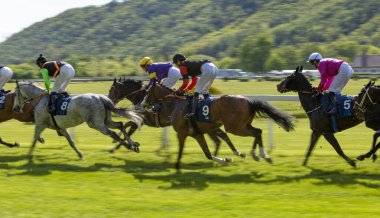 Bir grup jokey yarışı kazanmak için yarışıyor. At yarışı. Jokeyli atlar bitiş çizgisine doğru koşuyor. Hareket bulanıklığı etkisi.
