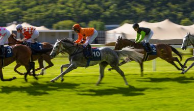 Bir grup jokey yarışı kazanmak için yarışıyor. At yarışı. Jokeyli atlar bitiş çizgisine doğru koşuyor. Hareket bulanıklığı etkisi.
