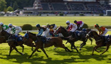 Bir grup jokey yarışı kazanmak için yarışıyor. At yarışı. Jokeyli atlar bitiş çizgisine doğru koşuyor. Hareket bulanıklığı etkisi.