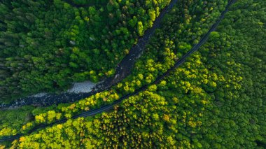 Mountain River ve Asphalt Yolu ile Taze Bahar Ormanı. Sunset Light 'la güzel bereketli bitki örtüsü. Hava Görünümü.