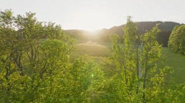 Sunset Light 'taki Pürüzsüz Yavaş Hareket Uçuşu Taze Yeşil Bahar Çiçeği Çayırı. Pürüzsüz Kamera Uçuşu. Avrupa Peyzajı 'ndaki görüntüler. Gerçekçi Ortam Sesleri.