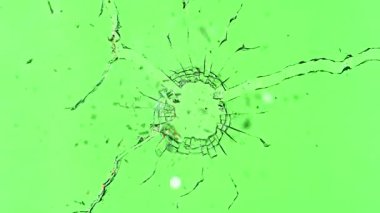 Kırık Camların Süper Yavaş Hareketi Yeşil Arkaplanda İzole Edildi. Camları kurşundan kır. Yüksek Hız Sinema Kamerası, 1000 fp..