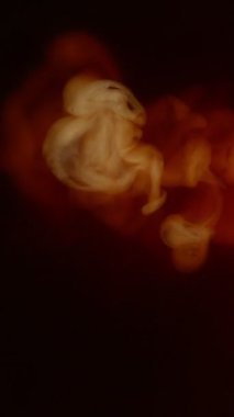 Extreme Close-Up 'ta Süt İçeceğinin Süper Yavaş Hareketi. High Speed Cinema Camera 'da çekildi, 1000 fps. Dikey Bileşim.