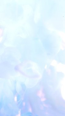 Suda Renkli Boyaların Süper Yavaş Hareketi. Beyaz Arka plan 'da izole edilmiş. Yüksek Hız Sineması Kamerası 'nda çekildi, 1000fps. Dikey Görünüm Oranı.