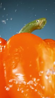 Turuncu biberi su sıçratarak döndürmek çok yavaş bir hareket. Yüksek hızlı sinema kamerası, 1000 fps. Dikey görünüm oranı.