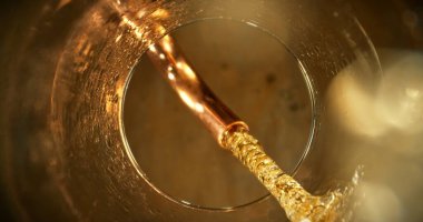 Musluktan bardağa Macro Shot bira dökülüyor. Bir Bardağın Altından Eşsiz Bakış Açısı. Hareketi Dondur.