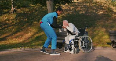 İspanyol doktor tekerlekli sandalyedeki engelli arkadaşla ilgileniyor. Latin sıhhiyeci, yaşlı adama sonbahar parkında rehabilitasyonda yardım ediyor. Sağlık, sakatlık, hareketlilik, arkadaşlık.