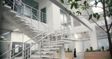 Profesyonellerden oluşan çeşitli ekipler merdivenlerden çağdaş ofise inerler. Çok ırklı işçiler, iş belgelerini içeren görüşmelere katıldılar