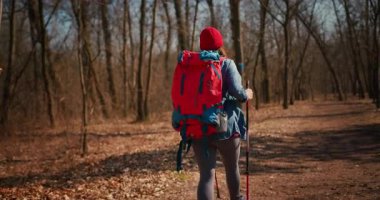 Dağ ormanlarında ağaçların arasında yürüyüş direkleri olan gezgin bir kız. Ormandaki İspanyol ergen.