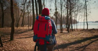 Dağ ormanlarında ağaçların arasında yürüyüş direkleri olan gezgin bir kız. Ormandaki İspanyol ergen.