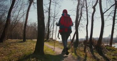 Dağ ormanlarında ağaçların arasında yürüyüş direkleri olan gezgin bir kız. Ormandaki İspanyol ergen.