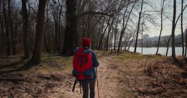 Dağ ormanlarında ağaçların arasında yürüyüş direkleri olan gezgin bir kız. Ormandaki İspanyol ergen.