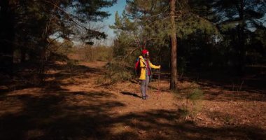 Dağ ormanlarında ağaçların arasında yürüyüş direkleri olan gezgin bir kız. Ormandaki İspanyol ergen.