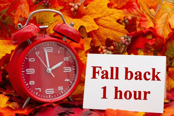 目覚まし時計とフォールバック1時間カードと秋の葉 — ストック写真